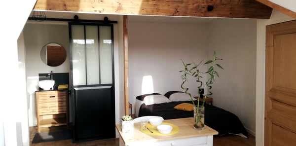 Studio/loft entièrement rénové de 25m², calme, au 6ème étage avec vue sur Fourvi Lyon, France Studio avec vue, au calme en plein cœur de Lyon Entire rental unit vacation rental 44662266
