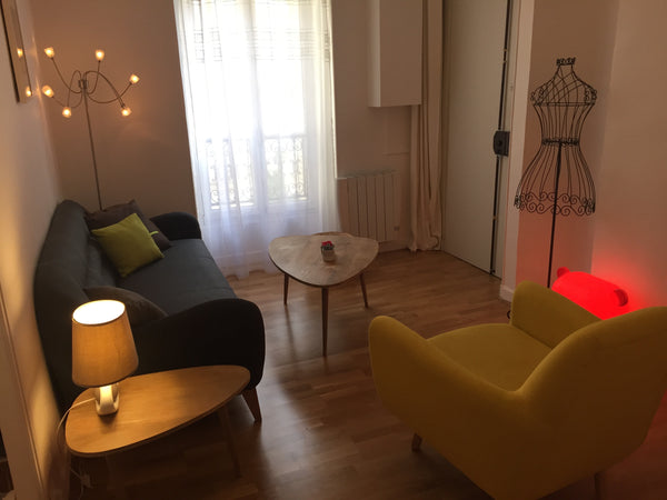 Charming Paris flat to rent close to the Champs de Mars and the Eiffel tower. St Paris, France 2 pièces (1 bedroom flat) Commerce Fondary Entire rental unit vacation rental 6464352