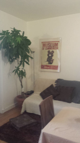 Appartement de 40m²,très calme, situé dans le 18e arrondissement de Paris, à 15   Appartement cosy et chaleureux Entire rental unit vacation rental 8854749