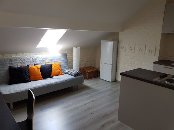 Petit Studio à Flagey.  chambre avec lit 2 places et douche, salon avec canapé c  Studio à Louer juste en face de la place Flagey Entire rental unit vacation rental 18540028
