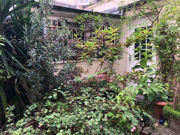 Bohème Apartment in a typical Parisian area. Central location, easy to go all ar Paris, France Bohème Flat 50m2 Canal St-Martin Entire loft vacation rental 1532445