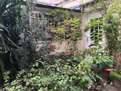 Bohème Apartment in a typical Parisian area. Central location, easy to go all ar Paris, France Bohème Flat 50m2 Canal St-Martin Entire loft vacation rental 1532445