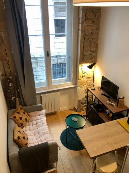 Joli studio avec une chambre en mezzanine, situé juste à côté de l'Opéra de Lyon Lyon, France Le petit Serlin - Opéra -Métro Hôtel de Ville Entire rental unit vacation rental 48398848