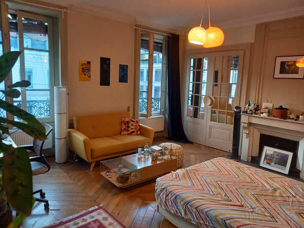 Paris, France Chambre privée en plein cœur de la presqu'île Private room in casa particular vacation rental 708640508337957604