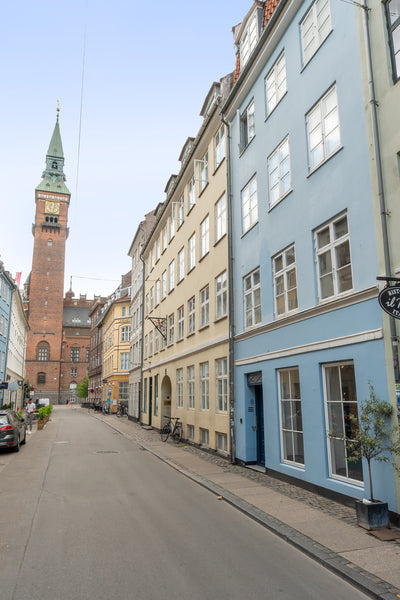 The old city center at your doorstep. <br /><br />Tivoli 200m, City Hall 100m, m Copenhagen, Denmark Chic duplex with game & wine  lounge in Old Town Entire vacation home vacation rental 664870120080993265