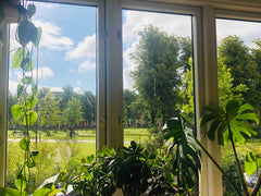 Our apartment is on Nørrebroparken - a large green park with something for every Copenhagen, Denmark Cozy flat on Nørrebro's most vibrant park system Entire rental unit vacation rental 44201874