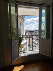 Idéalement situé à 10 minutes à pied du Champ de Mars, 3 lignes de métro toutes  Paris, France Superbe appartement haussmanien avec vues Entire rental unit vacation rental 4674546