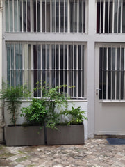 Our small atelier d'artiste, a studio, 230 square feet, is on the ground floor o Paris, France Small Atelier d'Artiste Faubourg Montmartre Entire rental unit vacation rental 17875085