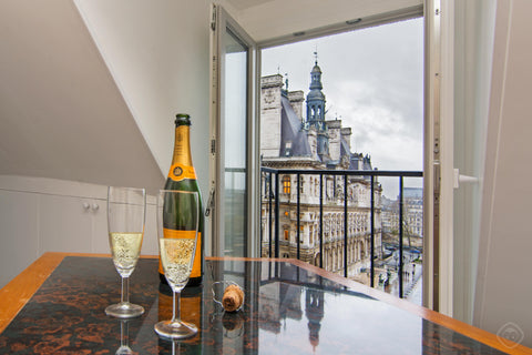 A beautiful and cosy apartment in the heart of Paris with an astonishing view of  NOTRE DAME APARTMENT - STUNNING VIEW Entire rental unit vacation rental 18969773