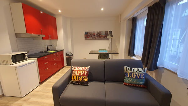 Sympathique studio coeur du centre historique de Bruxelles, dans la zone piétonn Brussels, Belgium Studio confort hyper centre Entire condo vacation rental 8746397