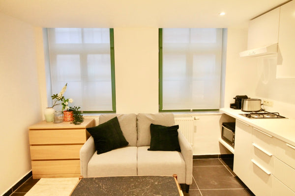 Magnifique appartement 1 chambre , très lumineux et super confortable idéalement Brussels, Belgium Amazing apt. St Gilles Entire rental unit vacation rental 54226071