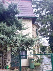 Entspann dich in dieser besonderen und ruhigen Unterkunft. Vienna, Austria Kleine Wohnung mit schöner Aussicht und Garten Entire rental unit vacation rental 574825070676860869