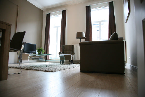 spacious apartment (70 m2) in a fantastic townhouse.<br />We offer expats a home Ghent, Belgium stylish 1bedroom apartment 70m2 in town Entire rental unit vacation rental 34669055
